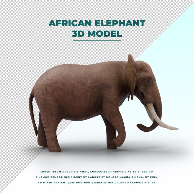 PSD african elephant isolated