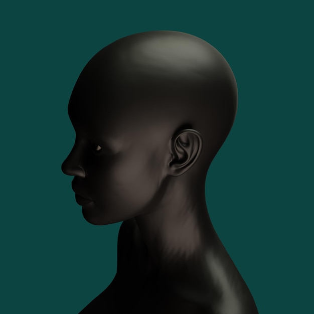 afro kobieta Renderowanie 3D Afryki
