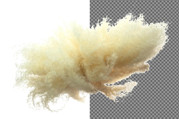 Afro Wig hair style fly fall explosion Golden blond afro woman wig hair float in mid air Afro wig hair extension wind blow cloud throw White background isolated high speed freeze motion