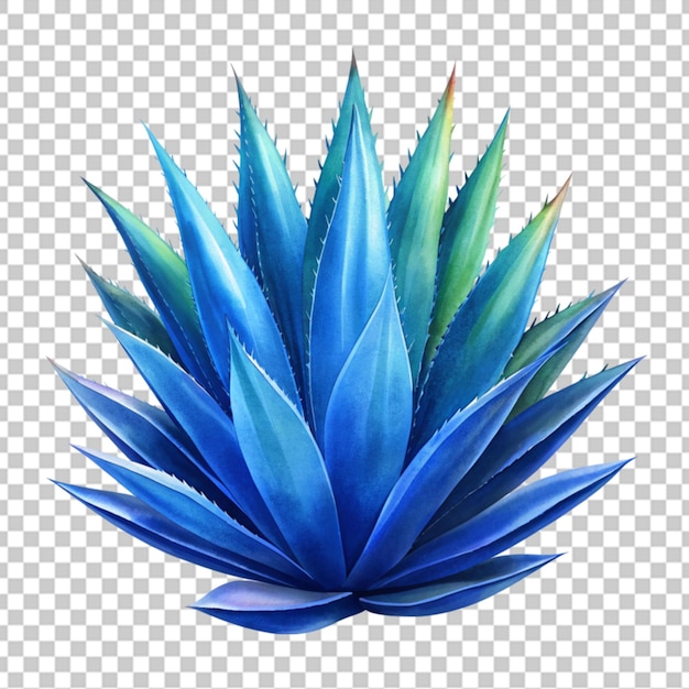 PSD agave parryi 3d рендеринг изолированный