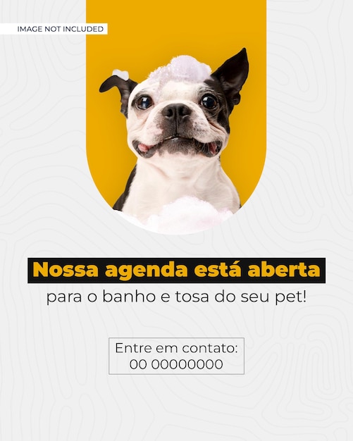 PSD agenda del negozio di animali domestici