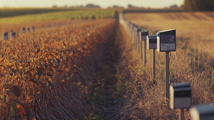 PSD agricultural field with sensors monitoring crop growth at sunset