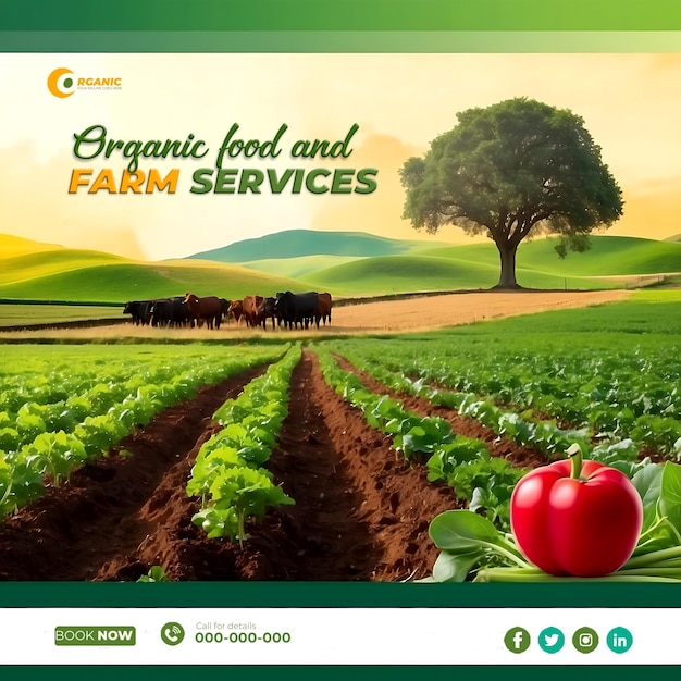 PSD agricoltura giardino agricoltura e servizi agricoli social media post banner template ai generato