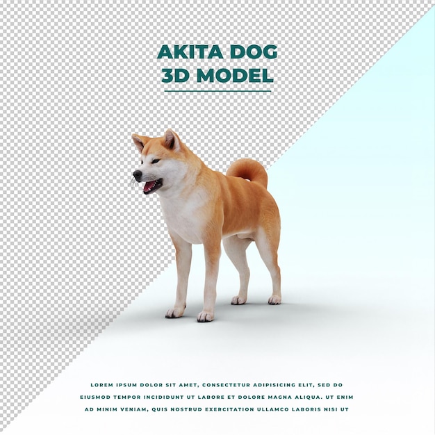 PSD akita dog