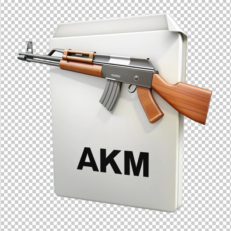 PSD akm gun