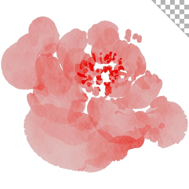 PSD akwarel różowy kwiat akwarelowy styl ilustracji z motywem kwiatowym