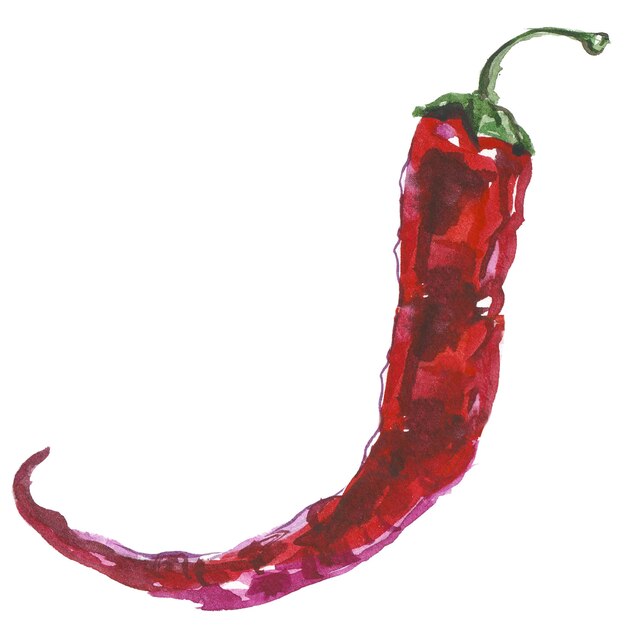 PSD akwarela malowane czerwona papryczka chili ręcznie rysowane element projektu świeżej żywności na białym tle