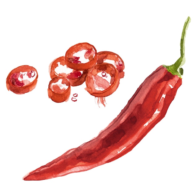 PSD akwarela malowane czerwona papryczka chili ręcznie rysowane element projektu świeżej żywności na białym tle