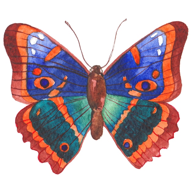Akwarela malowane motyl Ręcznie rysowane elementy projektu na białym tle