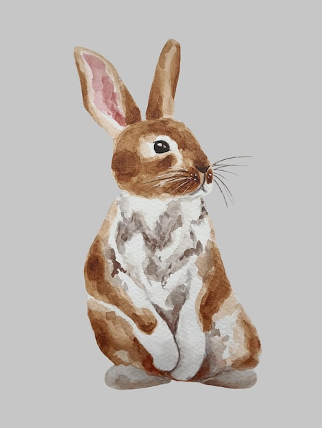 PSD akwarela wielkanoc brązowy królik ilustracja