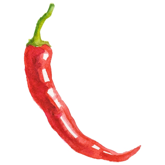 Akwarelowo pomalowany pieprz chili ręcznie narysowany element projektowania świeżych produktów spożywczych izolowany na przezroczystym tle