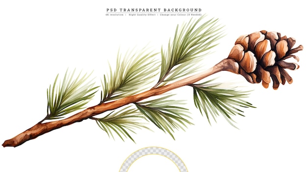 PSD akwarelowy wieńiec świąteczny z gałęziami sosny, liśćmi i stożkiem