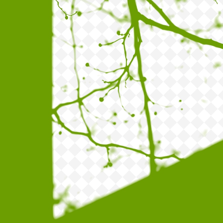 PSD alder branch shadows casting thin irregular lines soft edges create a gentle look riverb