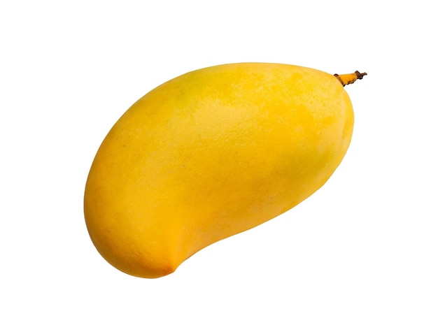 Alfa Katmanında Sarı Mango