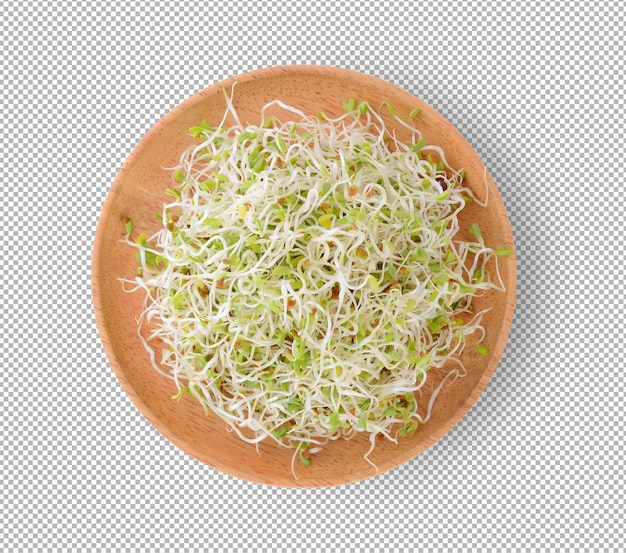 Alfalfa Sprout in houten plaat op alfalaag