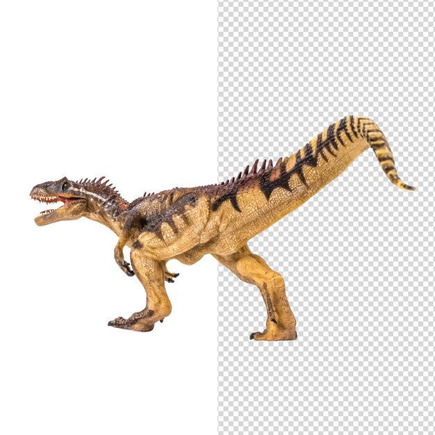 Allosaurus dinosaur on white background