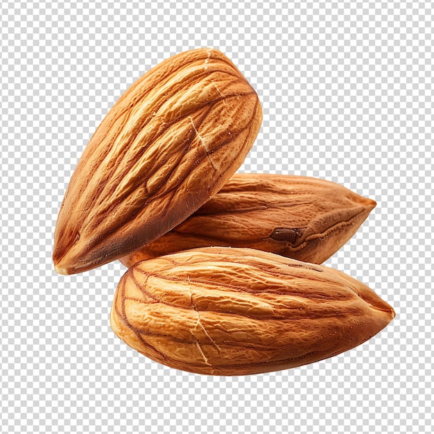 PSD almond on isolated background