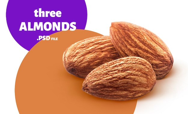 PSD almond nuts banner isolated on white background