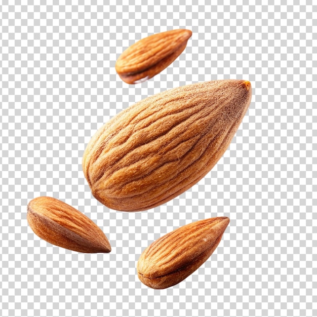 A almond on transparent background