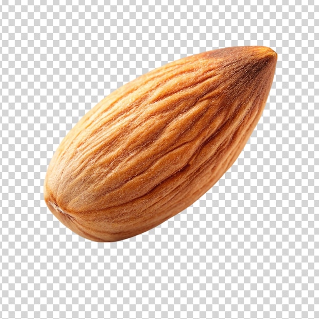 PSD a almond on transparent background