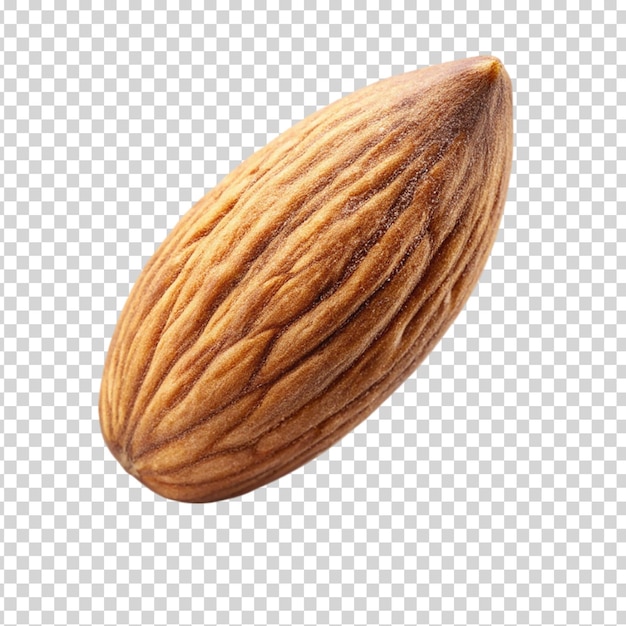 PSD a almond on transparent background