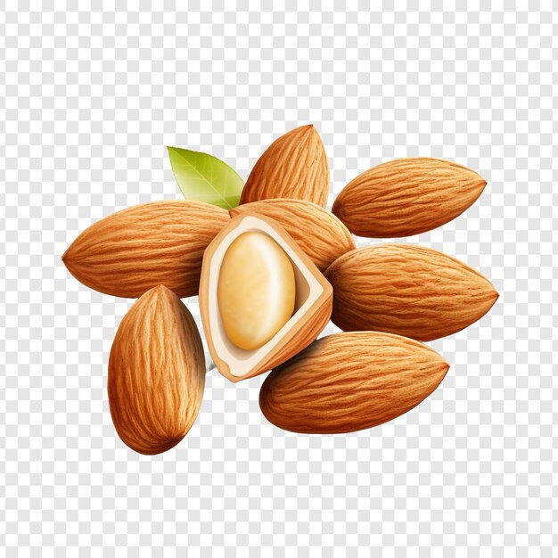 PSD almonds isolated on transparent background