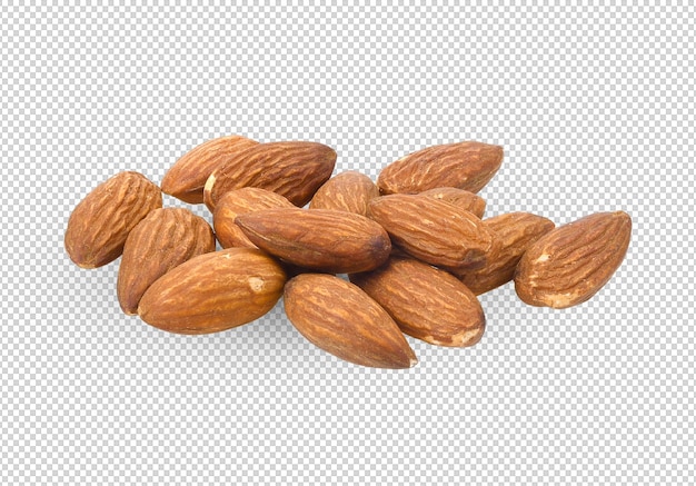 Almonds seeds isolated on alpha layer