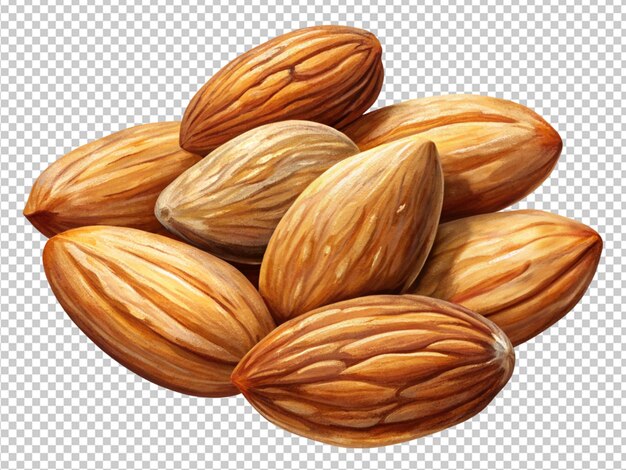 Almonds seeds