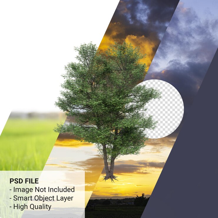 Alnus cordata 또는 이탈리아 알더 나무 3d 렌더링 투명 배경에 고립