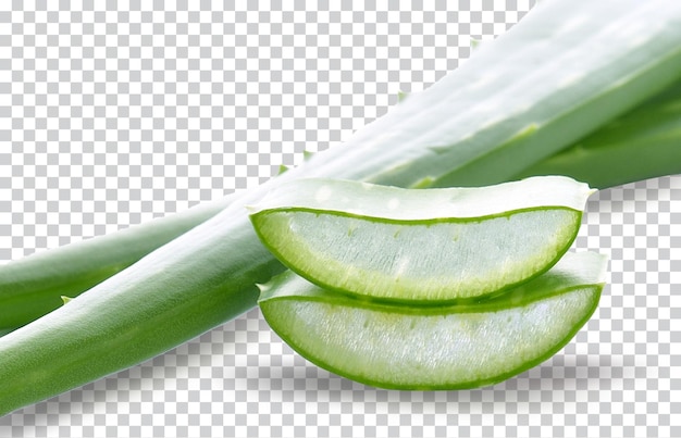 Aloe sliced isolated on a white background Photo premium PSD