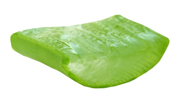 Aloe Vera on a isolated transparent background