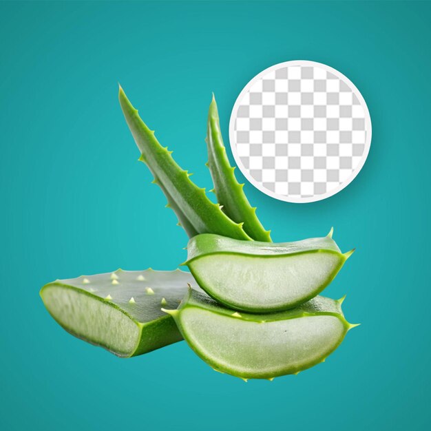 PSD pianta di aloe vera