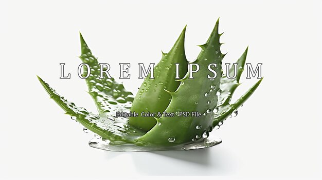 PSD aloe vera