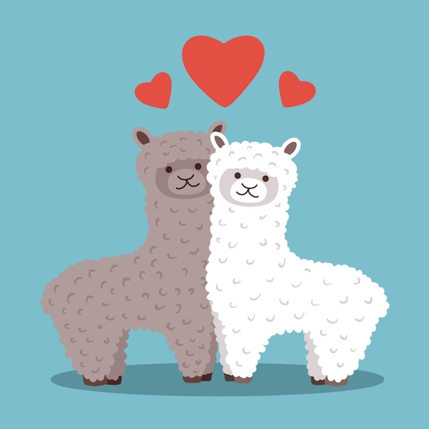 PSD alpacas sheep psd