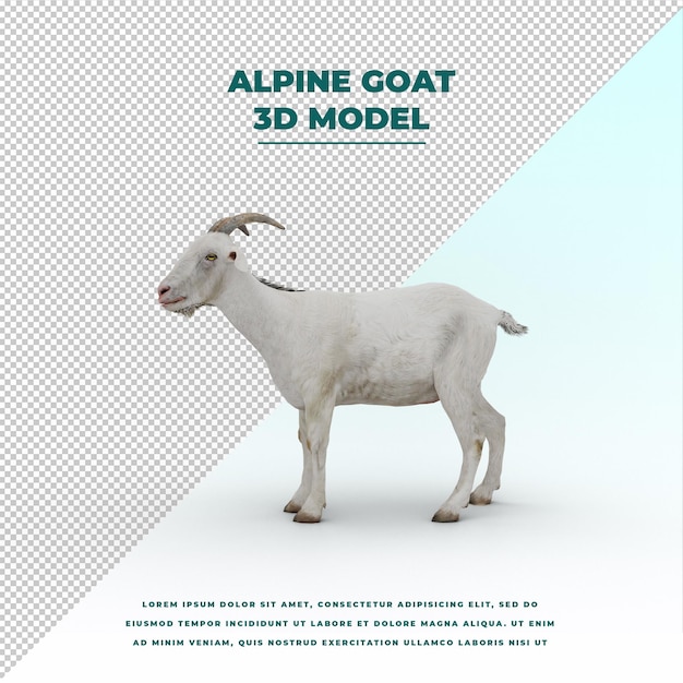 Alpine goat