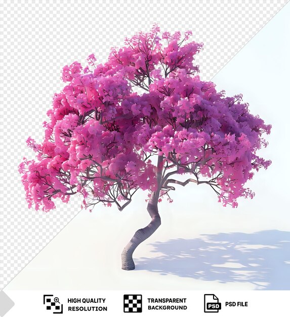 Amazing pink acacia tree casts a dark shadow against a blue and white sky with a brown trunk in the foreground png psd