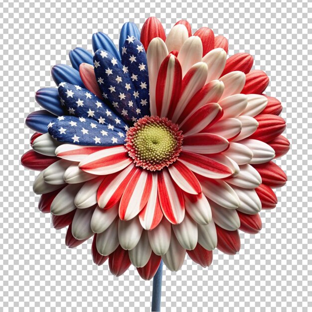 PSD アメリカ国旗の花