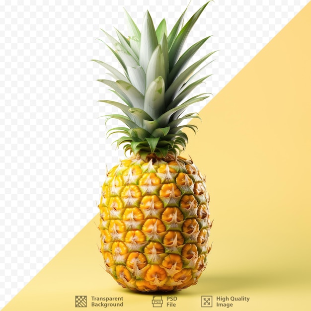 Ananas un frutto tropicale isolato su sfondo trasparente