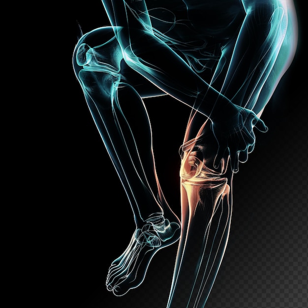 Anatomia bólu kolana