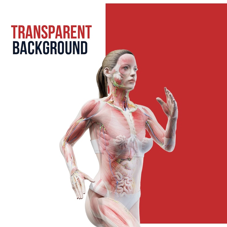 PSD anatomical illustration of a running female figure transparent