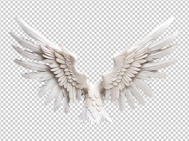 털을 가진 천사의 날개