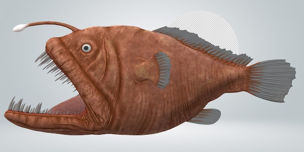 Angler Fish isolated on a Transparent Background