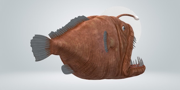 PSD angler fish isolated on a transparent background