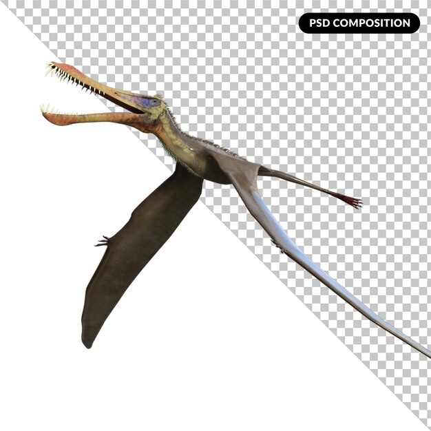 Pteranodon Standing Pose PNG Images & PSDs for Download