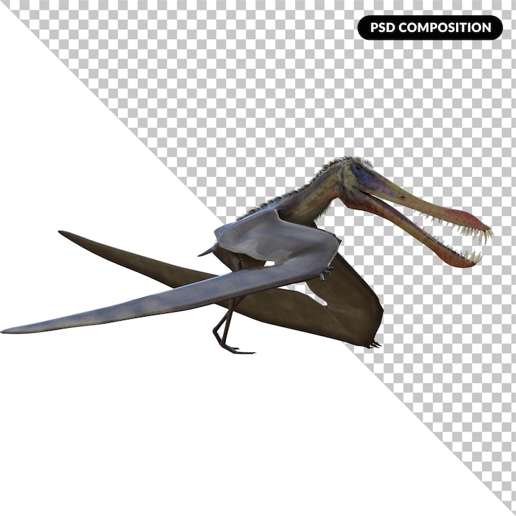 PSD 安漢格拉 (anhanguera) 孤立的 3d 渲染