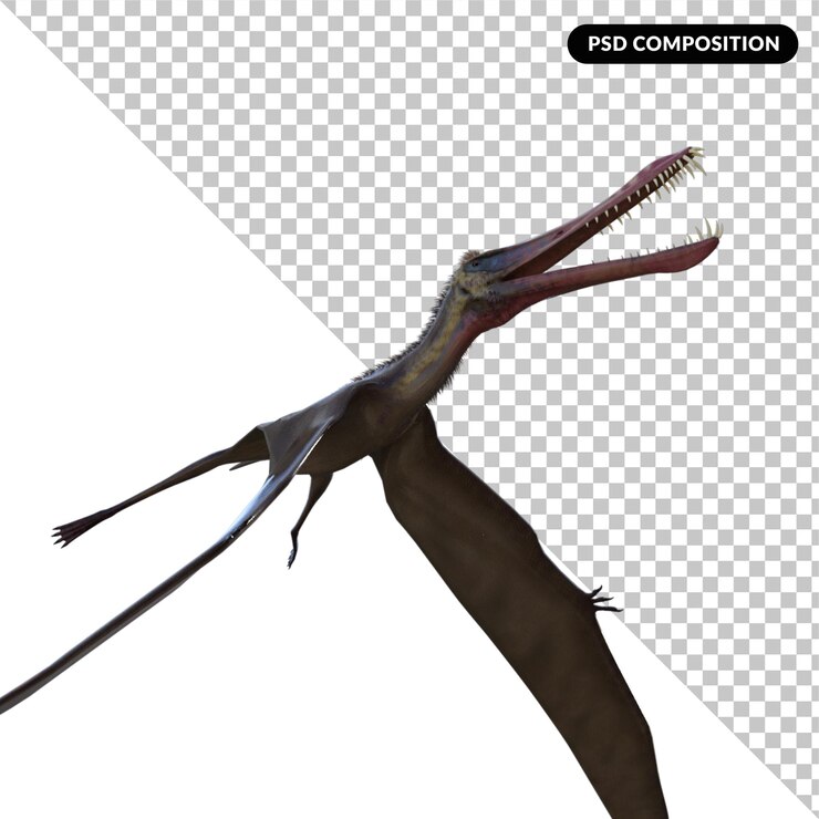 PSD 安漢格拉 (anhanguera) 孤立的 3d 渲染