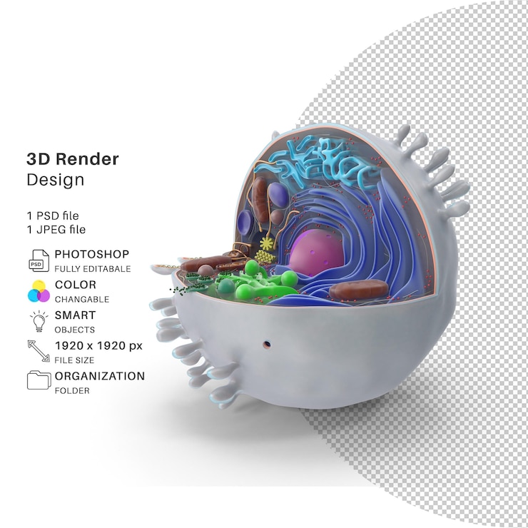 PSD структура клеток животных. 3d-моделирование psd-файла. реалистичная клетка животных.