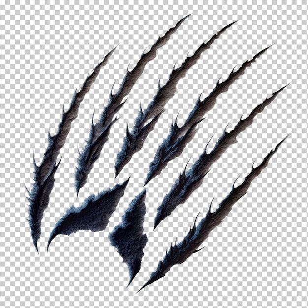 PSD animal claw scratches on transparent background