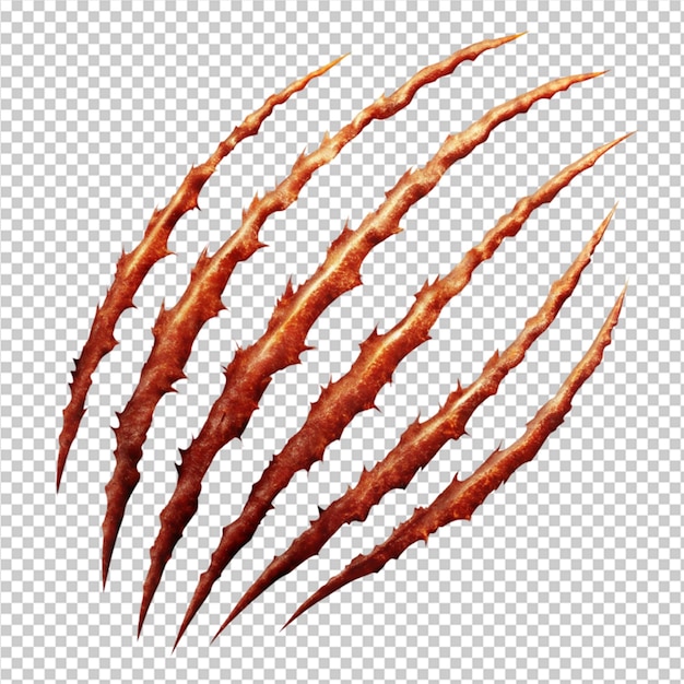 PSD animal claw scratches on transparent background