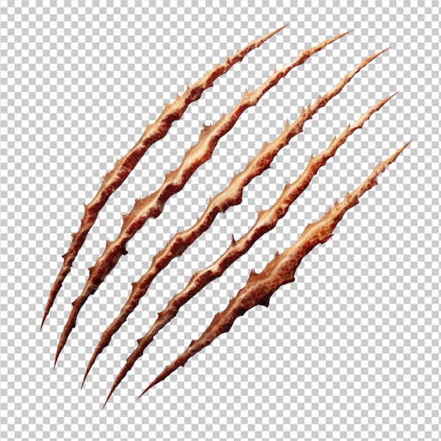 PSD animal claw scratches on transparent background